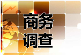 商务调查